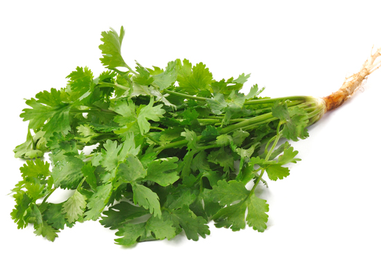 Corriander Leaves
