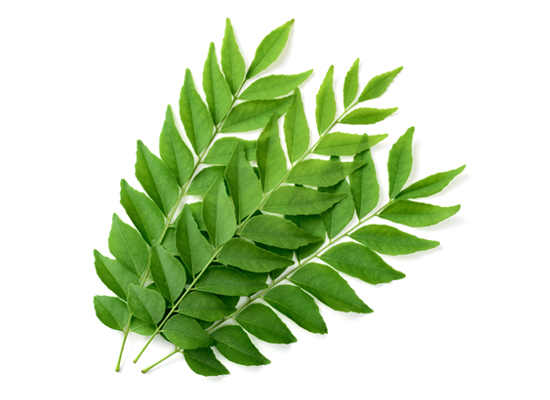 Curry Leaves