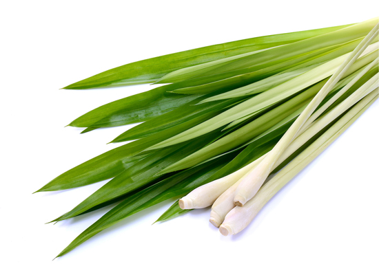 Lemongrass