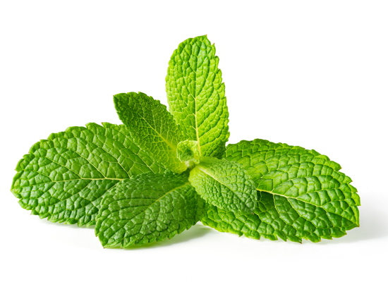 Mint Leaves