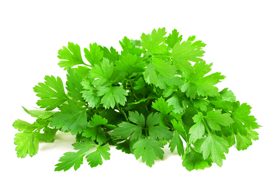 Parsley