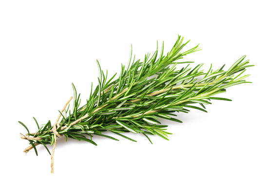 Rosemary