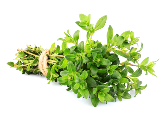 Thyme