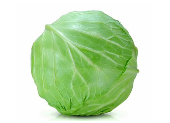 Cabbage