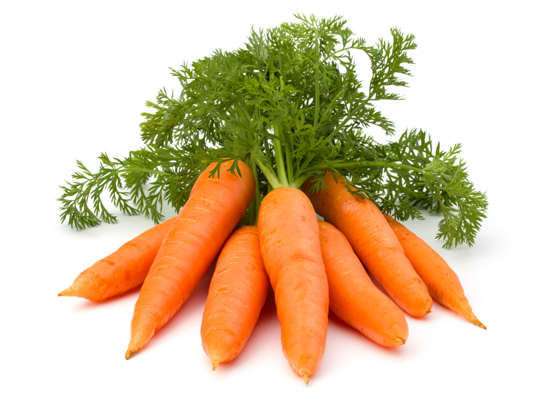 Carrot