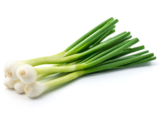 Spring Onion