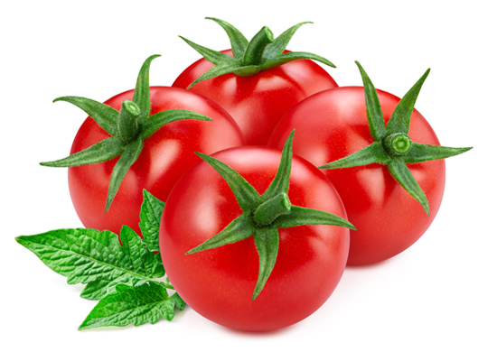 Tomato