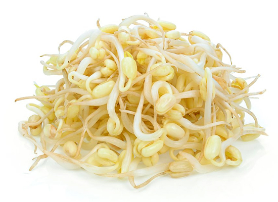 Soybean Sprouts