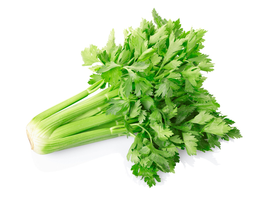 Celery