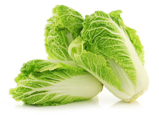 Chinese Cabbage