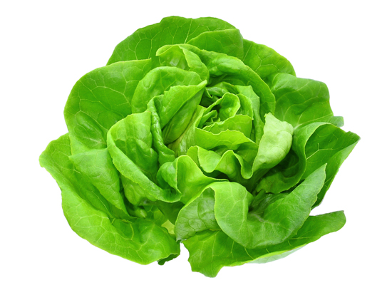 Lettuce
