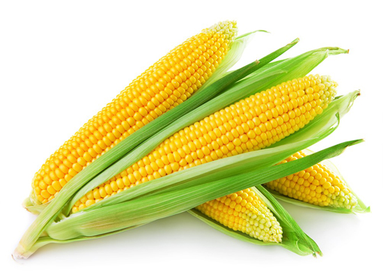 Sweet Corn